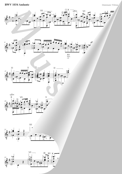 Andante BWV 1034